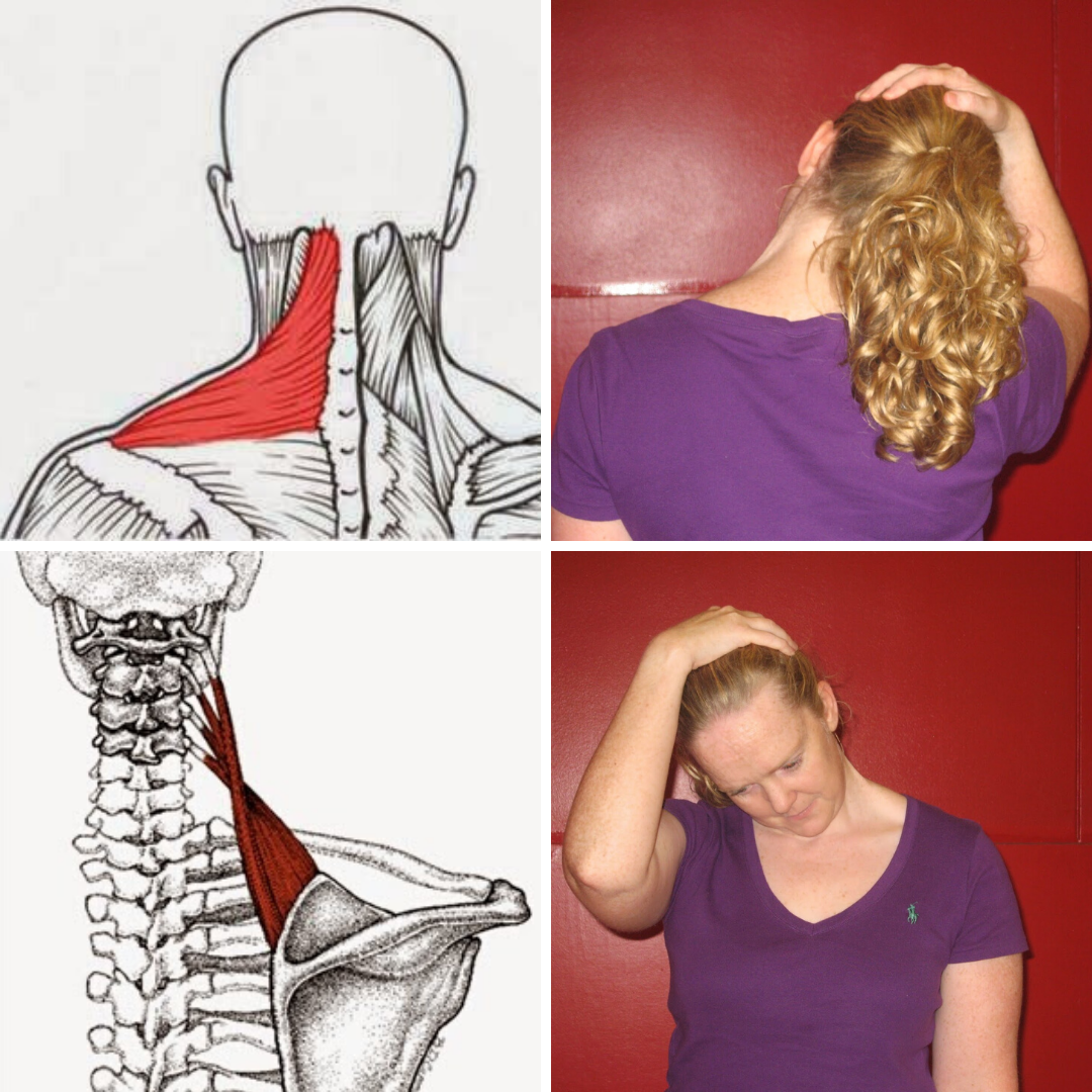 Stretch of the Month: Shoulder Stretches - 360 Chiropractic